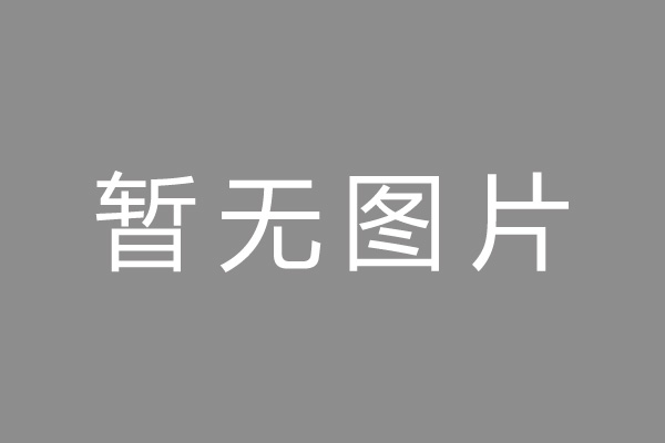 哈密湘盛耐磨铸造有限责任公司大气污染物治理提标改造项目竣工环境保护验收监测报告（公示稿）